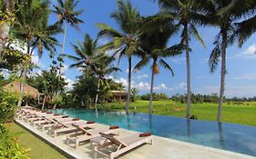 Hotel Mathis Retreat Ubud